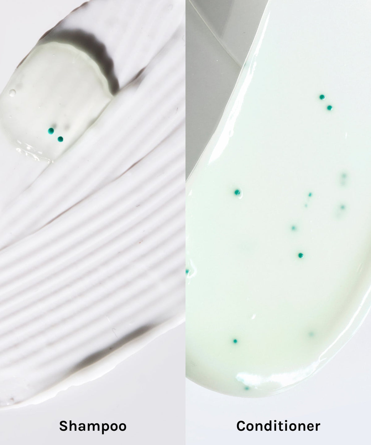 Hair Thickening Shampoo with biotin, caffeine, prebiotics, and rosemary